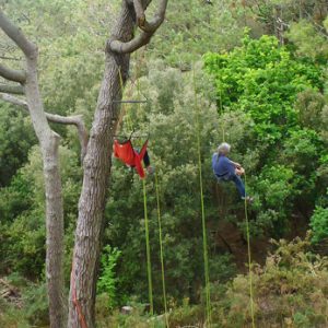 L'arbre à Lutik - Grimpe d'arbres, corde à soi