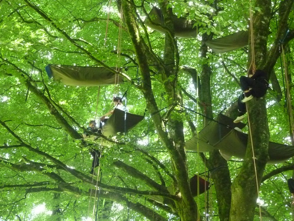 Grimpe d'arbres - accrobranche en Bretagne